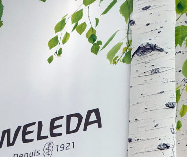 Zoom sur les arbres du visuel chez Weleda Toile adhésive